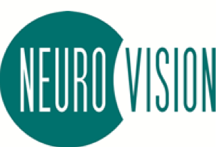 Imagen 1 Neurovisión
